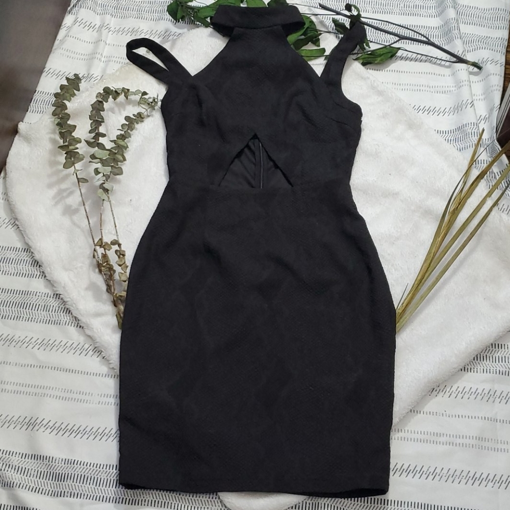 Black Snake print Dress